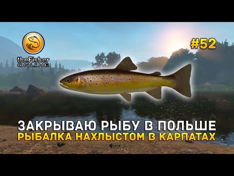 Видео: Закрываю рыбу в Польше. Рыбалка в Карпатах - Fisher Online #52