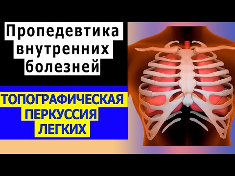 Видео: Пропедевтика внутренних болезней | Топографическая перкуссия легких