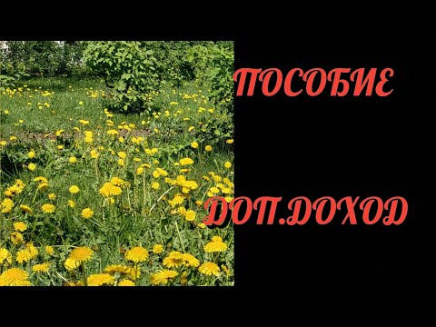 Видео: #14 РАСПРЕДЕЛЕНИЕ/ ВЫПЛАТА ИЗ МАТ.КАПИТАЛА/ ДОП.ДОХОД/ май чек2
