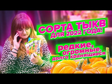 Видео: ВЫБИРАЕМ ТЫКВУ ДЛЯ 2022. АРОМАТНЫЕ, МУСКАТНЫЕ, ОГРОМНЫЕ, ГОЛОСЕМЕННЫЕ