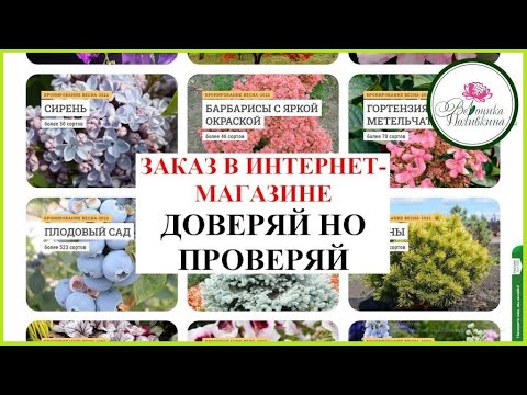 Видео: КАК ЗАКАЗЫВАТЬ РАСТЕНИЯ В ИНТЕРНЕТ МАГАЗИНЕ БЕЗ ОБМАНА