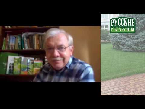 Видео: Пять вопросов по весеннему уходу за газоном: отвечает Д.Ю. Лянгузов (Sodmaster).