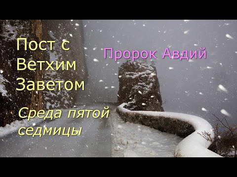 Видео: Великий пост с Ветхим Заветом. 5 седмица. Среда