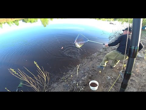 Видео: ВОТ ТАК МЫ В ДЕРЕВНЕ НА ФИДЕР ЛОВИЛИ \ РЫБАЛКА С НОЧЕВКОЙ \ ГОТОВИМ НА ФИНСКОЙ СВЕЧЕ \ ВЕСНА 2021!