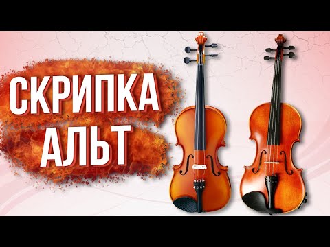 Видео: СКРИПКА И АЛЬТ / ОТЛИЧИЯ / СРАВНЕНИЕ