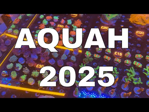 Видео: Мой опыт на AQUAH 2025