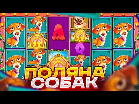 Видео: ЗАНОС НА 500X+ В СОБАКАХ! THE DOG HOUSE MEGAWAYS! UPX! ПРОМО!