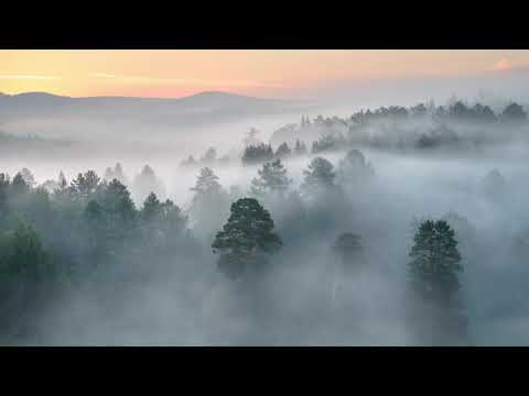 Видео: SHAKUHACHI  FLUTE / Koku Nishimura Sensei / AJIKAN / Флейта Сякухати / Медитация