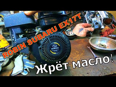 Видео: ДВИГАТЕЛЬ ROBIN SUBARU EX17T ДЫМИТ