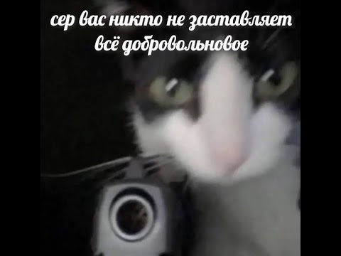 Видео: "Мужчина-катастрофа Виктор Сато" [Приватная игра 11.10 DRO] Запись