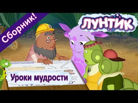 Видео: Лунтик - Уроки мудрости☝️ Сборник 2017 года