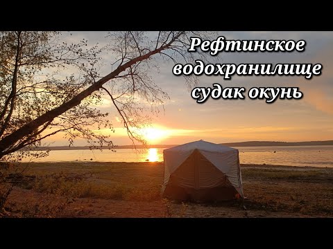 Видео: Отдыхаем на Рефтинском водохранилище. Поймали судака и  окуня.