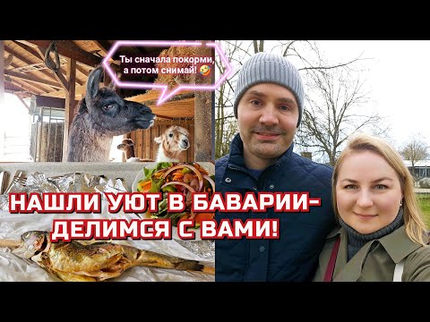 Видео: Идеальное заведение Biergarten Ellermühle 🍽 🍻| Природа, уютная атмосфера и развлечения для детей 🏕