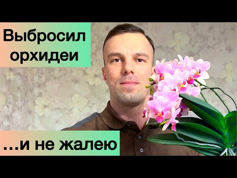 Видео: Куда пропал?! Выбрасываю орхидеи!