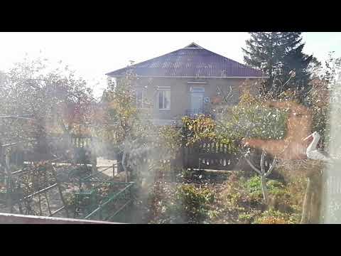 Видео: ОБЗОР НЕДВИЖИМОСТИ С ХОЗПОСТРОИКАМИ ЗА 15.000$🤑 Д. ЛЕНЬКИ, МИНСКАЯ ОБЛАСТЬ СЛУЦКИЙ РАЙОН. ПРОДАЕТСЯ.