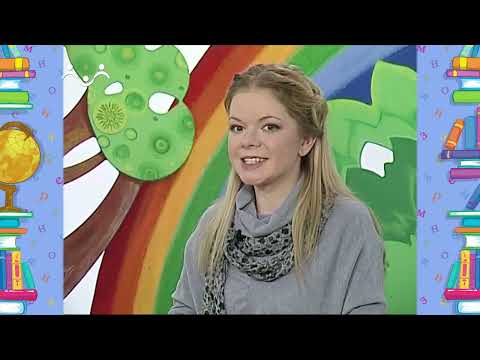 Видео: Школа Шишкиного Леса. Русский язык. Повторяем буквы