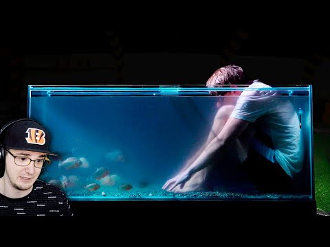 Видео: МАМИКС ► КАК ОТРЕАГИРОВАЛИ ПИРАНЬИ, КОГДА Я ЗАЛЕЗ К НИМ В АКВАРИУМ? | Реакция