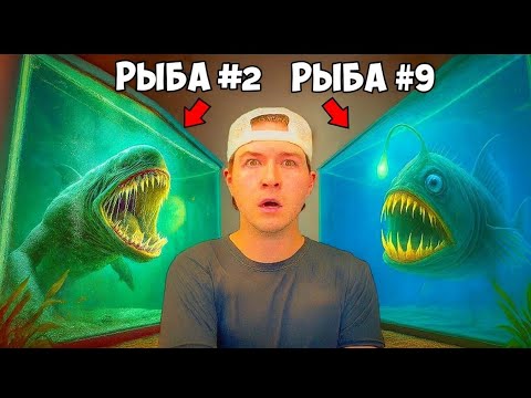 Видео: Покупаю самых страшных морских монстров, которых я когда-либо встречал в 2025 году