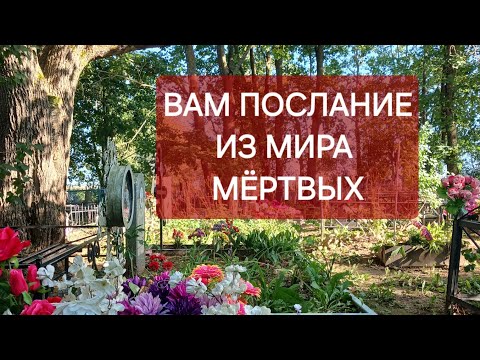 Видео: Вам послание из мира мёртвых ‼️