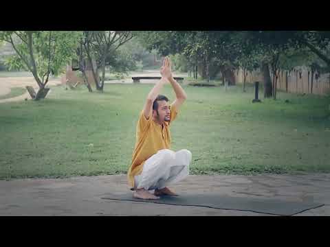 Видео: Практика Йога Намаскар