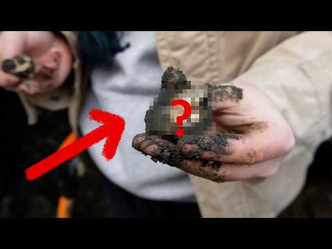 Видео: Лёгкий способ поиска окаменелостей, парк Фили!