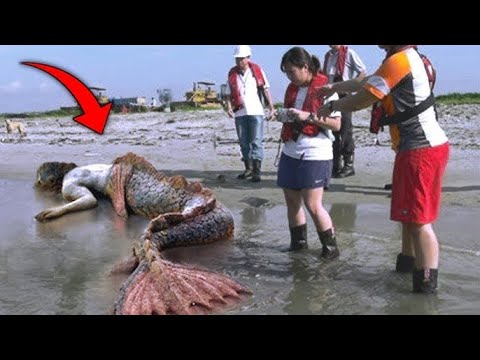 Видео: Такое не Каждый День Увидишь! Это Видео Удалось Снять на Камеру