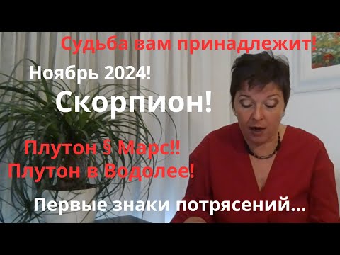 Видео: Ноябрь 2024 Скорпион!!