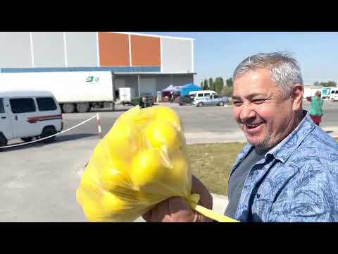 Видео: 🤦‍♂️ПОЕХАЛИ ЗА АЙВОЙ НА ФУДСИТИ, 🛒НАБРАЛИ НЕ ТОЛЬКО АЙВУ🤷‍♀️НО И МНОГО ЧЕГО...