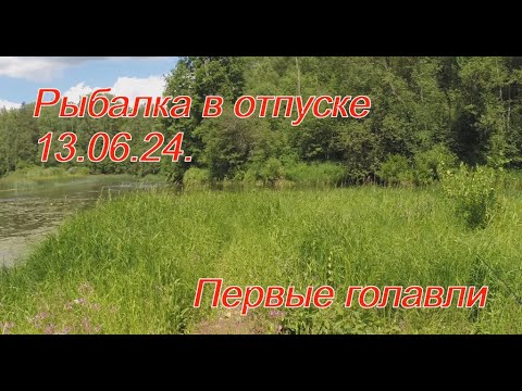 Видео: Рыбалка в отпуске - 13.06.24.  Первые голавли.