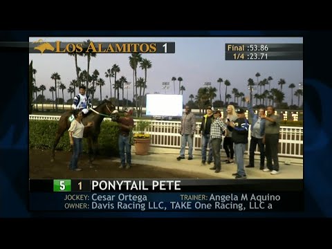 Видео: Повторы Los Alamitos — суббота, 25 октября 2025 г. — гонка 1