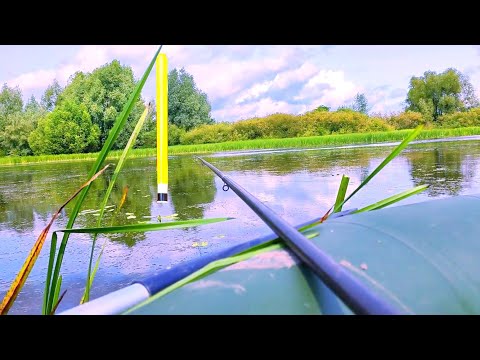 Видео: ЛИНЬ ЛИНЬ ЛИНЬ опа КАРАСЬ вот это КАРАСЬ!!! Рыбалка на поплавок!