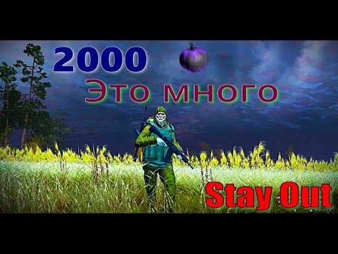 Видео: ⭐Stay Out ⭐Сталкер-Онлайн👍 2000 яблок это много !!!