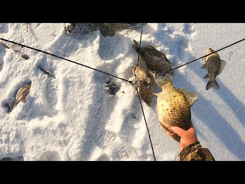 Видео: НАШЛИ РЫБНОЕ МЕСТО И НАДУБАСИЛИ КАРАСЕЙ!!! ХАПУГИ СНОВА НЕ ПОДВЕЛИ. Рыбалка на "ХАПУГУ"-ХЛОПОК.