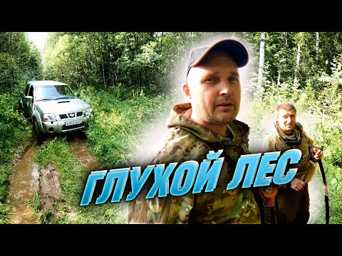 Видео: ГЛУХИЕ МЕСТА 👀 УЕХАЛИ НА ДЕЛО.