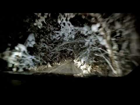 Видео: Атлас Рыбака 01 07 2023 КВХ залив Бирюса