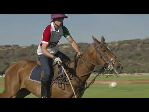 Видео: Конное поло. Его история и правила Horse polo. Its history and rules
