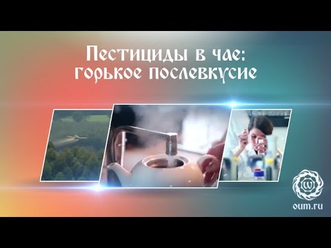 Видео: Пестициды в чае: горькое послевкусие