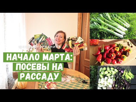 Видео: Что посеять на рассаду в начале марта / Полезные советы / И я опять не удержалась...