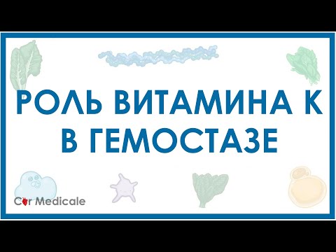 Видео: Роль витамина К в гемостазе/коагуляции