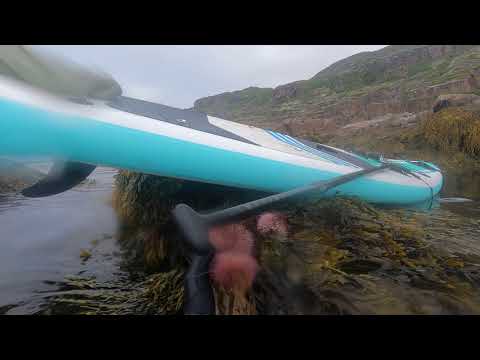 Видео: Остались ещё морские ежи в териберке?