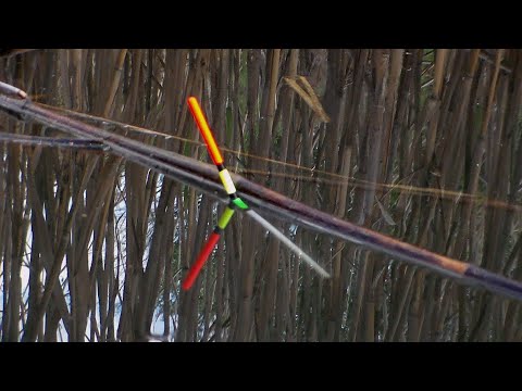 Видео: БЕШЕНЫЙ КЛЁВ КАРАСЯ на поплавочную удочку. Рыбалка весной.  ЛОВЛЯ КАРАСЯ НА ПОПЛАВОЧНУЮ УДОЧКУ