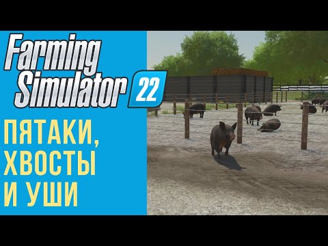 Видео: 🐷 Всё о свиньях в Farming Simulator 22