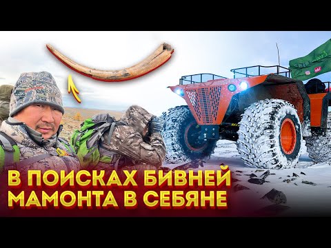 Видео: В поисках бивней мамонта в Себяне.