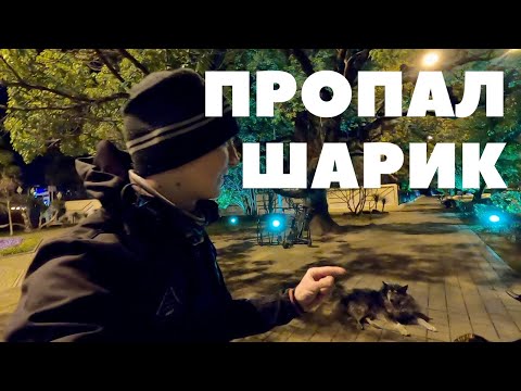 Видео: В Сочи зимой на велосипеде #7