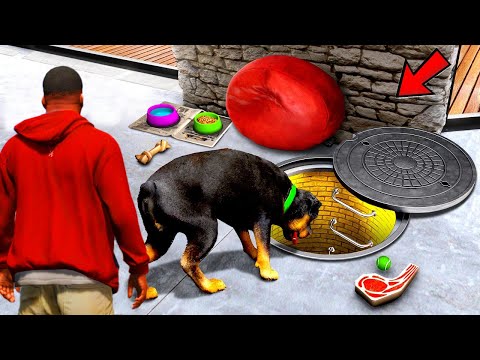 Видео: ЧОПТЫҢ ҚҰПИЯ ҮЙІН ТАПТЫМ (GTA V)