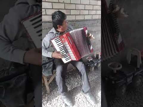 Видео: алтынбек.мадишов.по пути.пародя