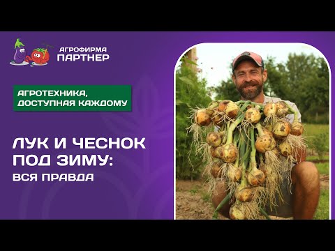 Видео: КАК ПОДГОТОВИТЬ ПОЧВУ ДЛЯ ПОСАДКИ ОЗИМОГО ЛУКА И ЧЕСНОКА
