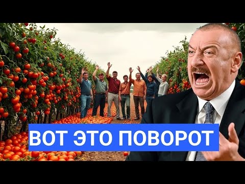 Видео: Хаос цен в Азербайджане: как города и деревни нашли баланс