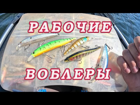 Видео: Китайские Воблеры КОТОРЫЕ ЛОВЯТ!