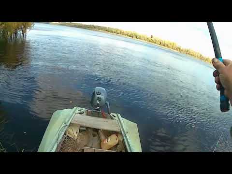 Видео: р Обь.  Рыбалка  на  удочку  с  лодки.